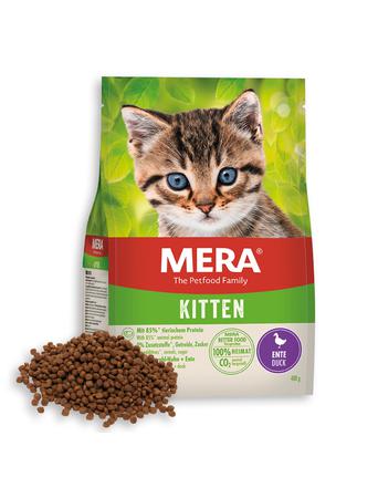 MERA Cats Kitten Ente