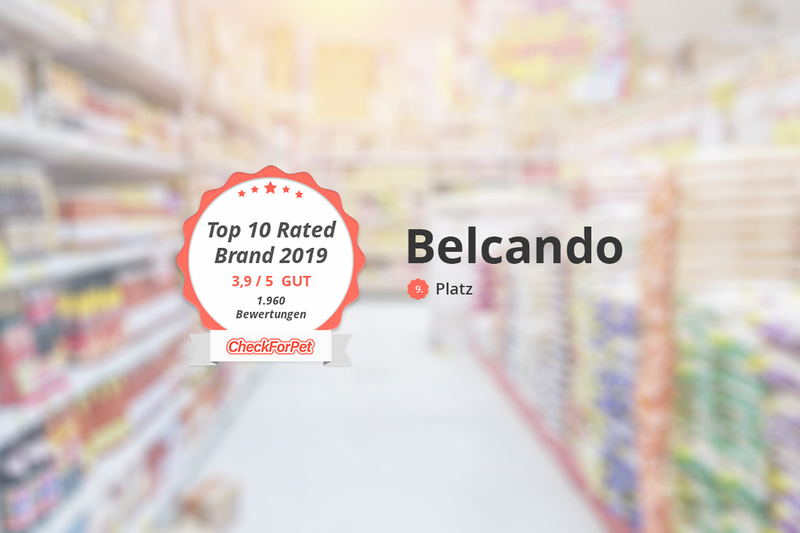 Wir sind Top 10 Rated Brand 2019