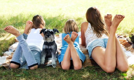 Zwergschnauzer Hundefutter - harmonisches Familienleben