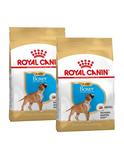 Boxer Puppy 2 x 12 kg