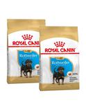 Rottweiler Puppy 2 x 12 kg