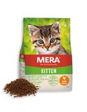 Cats Kitten Huhn 10 kg