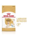 Labrador Retriever 5+ Adult 12 kg