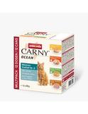 Carny Adult Ocean Meeresvielfalt Nr. 2 12 x 80 g