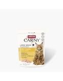 Carny Adult Große Rassen Huhn + Lachs 350 g
