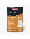 Vom Feinsten Adult Raffinesse in Gelee Reich an Huhn mit Pute 24 x 85 g