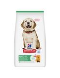 Science Plan Trockenfutter Hund, Large Breed Puppy, mit Huhn 16 kg