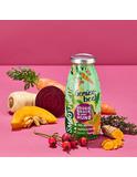 Einzelflasche Hundesmoothie Gemüsebeet 450 g