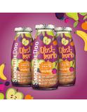 Einzelflasche Hundesmoothie Obstkorb 450 g