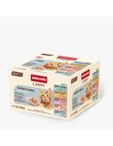 Carny Adult Fine Fillets Vielfalt in Sauce 12 x 60 g