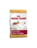 Cavalier King Charles Spaniel Adult 3 kg