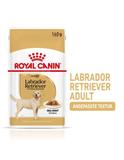 Labrador Retriever Adult 10 x 140 g