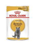 2 Kg Kitten British Shorthair Dry Mix 12 x 85 g