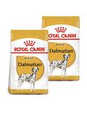Dalmatian Adult 2 x 12 kg