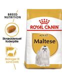 Maltese Adult 1,5 kg