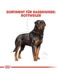 Rottweiler Adult 12 kg