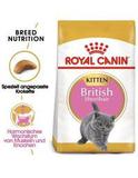 British Shorthair Kitten Trockenfutter + 2 kg
