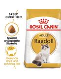 Ragdoll Adult 2 kg