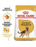 Deutscher Schäferhund Adult 11 kg