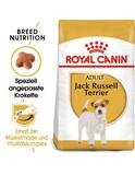 Jack Russell Terrier Adult 3 kg