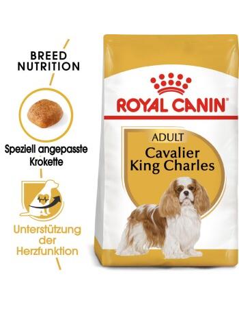 Cavalier King Charles Adult 1,5 kg
