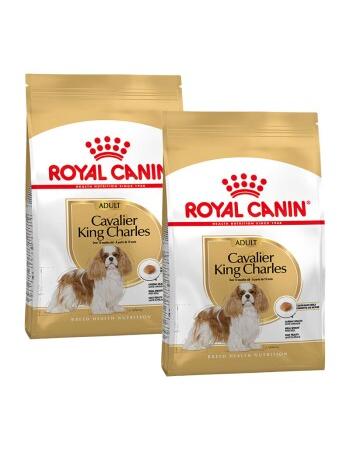 Cavalier King Charles Adult 2 x 1,5 kg