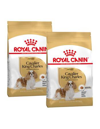 Royal Canin Cavalier King Charles Adult