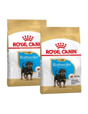 Rottweiler Puppy 2 x 12 kg