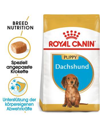 Royal Canin Dachshund Puppy