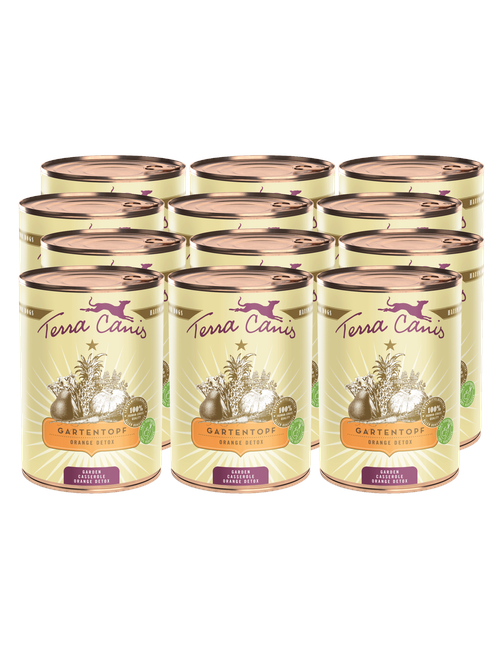 Gartentopf | Orange Detox 12 x 400 g