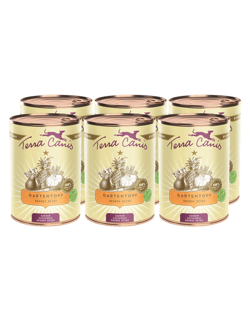 Gartentopf | Orange Detox 6 x 400 g