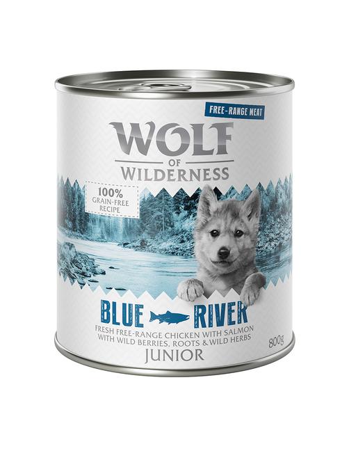 Wolf of Wilderness Little Junior