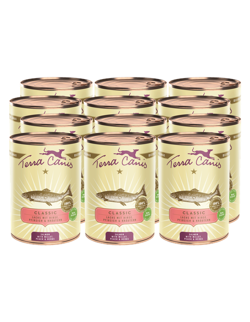 Classic | Lachs mit Hirse, Pfirsich und Kräutern 12 x 400 g