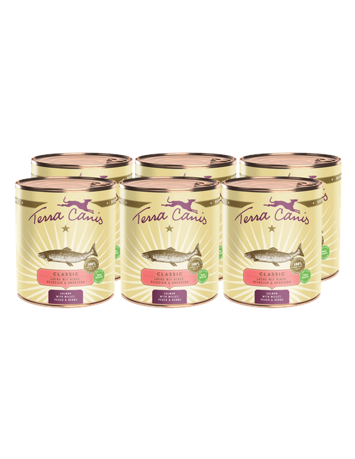 Classic | Lachs mit Hirse, Pfirsich und Kräutern 6 x 800 g