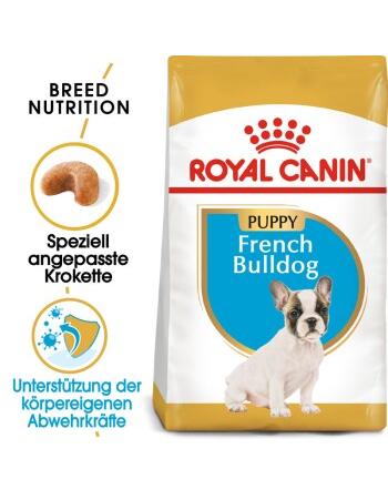 Französische bulldogge puppy 2 x 10 kg