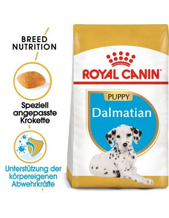 Royal Canin Dalmatian puppy