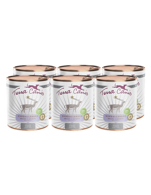 Hypoallergen | Antilope mit Kartoffel 6 x 800 g