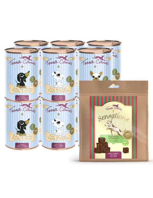 Welpe | Gourmetpaket M 12 x 400 g