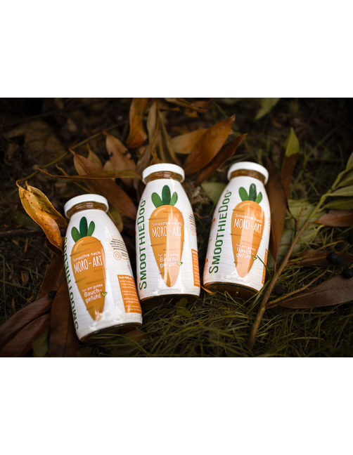 Hundesmoothie Morosche Karottensuppe 12 x 250 g