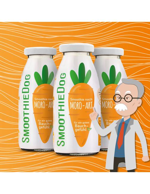 Hundesmoothie Morosche Karottensuppe 6 x 250 g