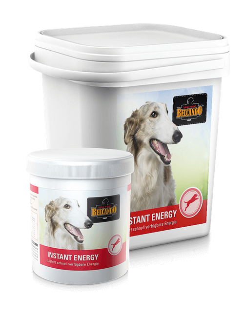 Instant Energy 500 g