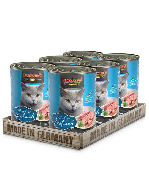 Reich an Seefisch 2,4 kg