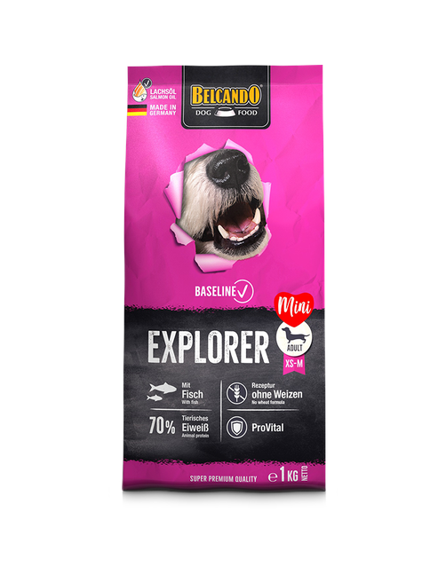 Belcando Baseline Explorer