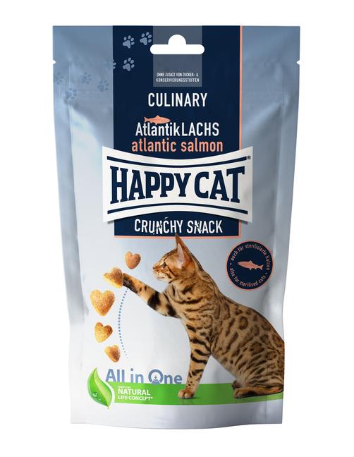 Culinary Crunchy Snack Atlantik-Lachs 70 g