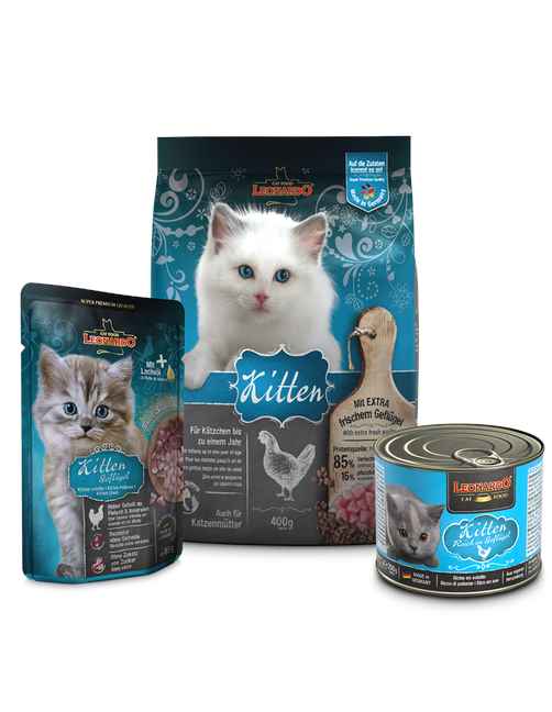 Leonardo Cat Box Kitten