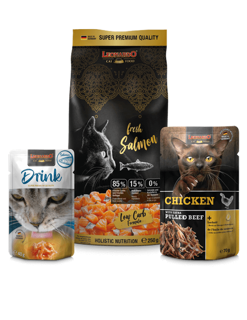 Leonardo Cat Box Fresh Salmon