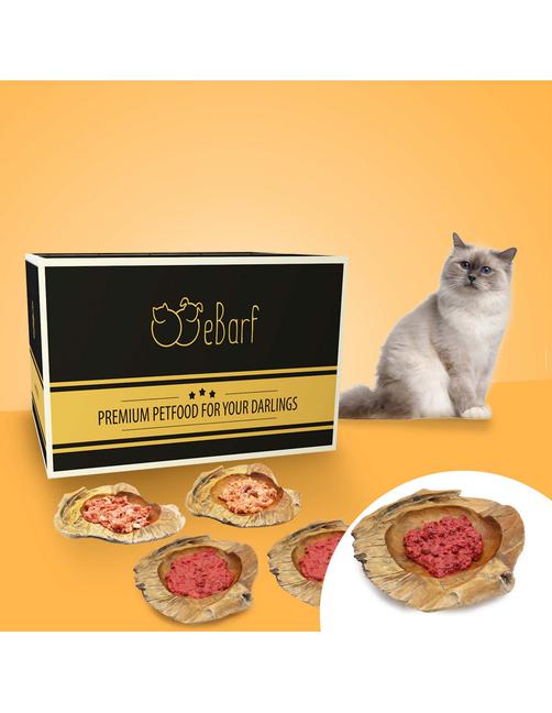 Fix-Barf® Monatspaket Nierenspezial 9 kg