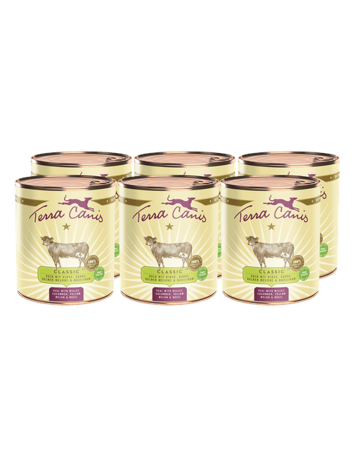 Classic | Kalb mit Hirse, Gurke, Gelber Melone und Basilikum 6 x 800 g