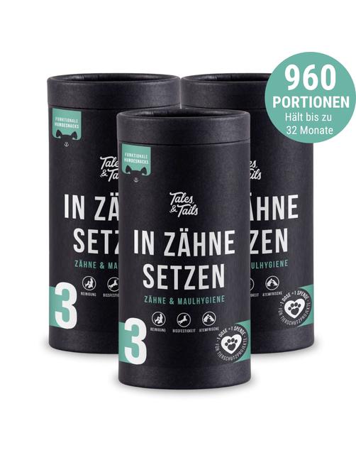 In Zähne Setzen 3x 325g