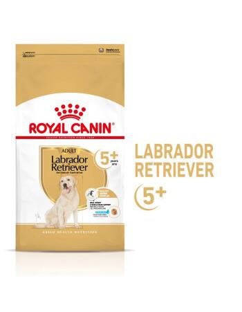 Royal Canin Labrador Retriever 5+ Adult